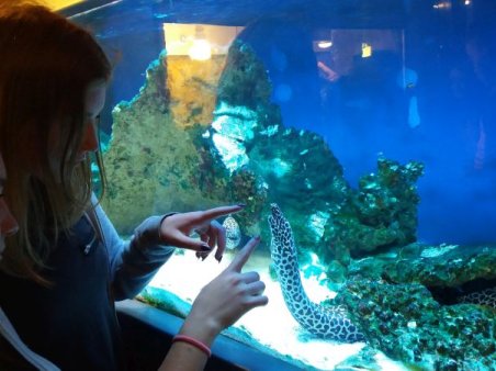 Zielona Szkoła 2017