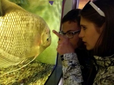 Zielona Szkoła 2017