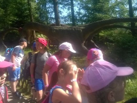 Oko w oko z dinozaurami