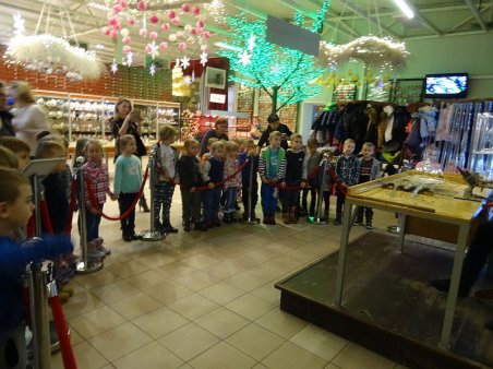 Motylki i Krasnoludki w Nowej Dębie