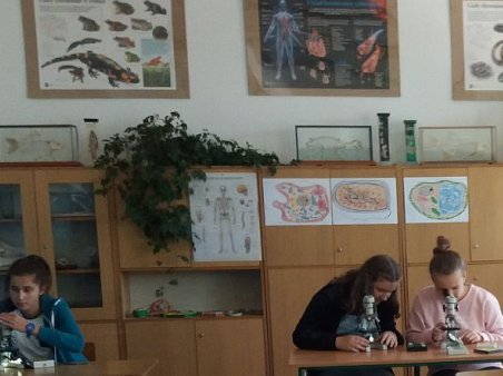 Szkoła Nowych Możliwości