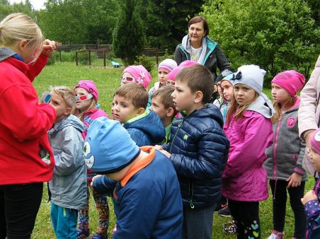 W świecie dinozaurów