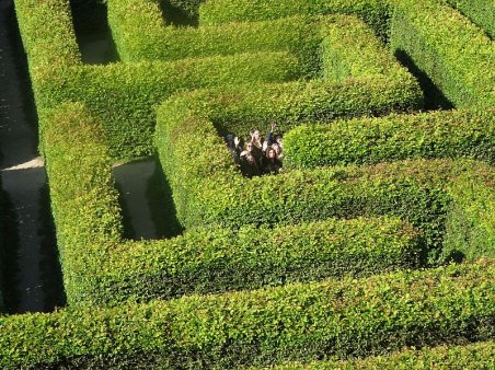 Zielona Szkoła 2018