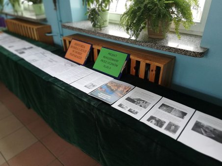 Projekty z języka polskiego