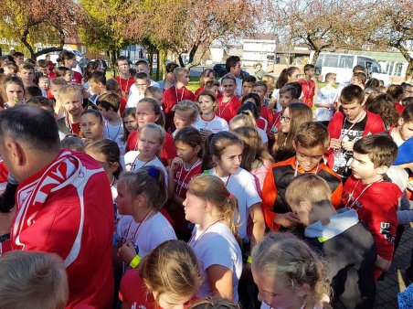 Bieg Niepodległości