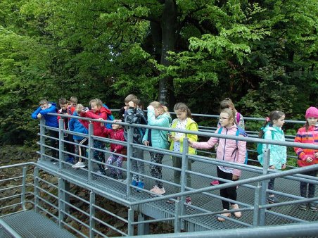 Góry Świętokrzyskie