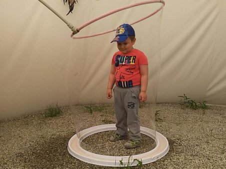 Biedroneczki na wycieczce 