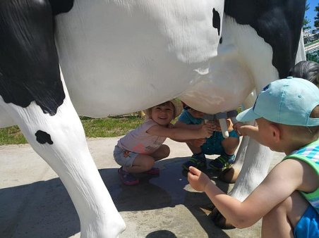 Biedroneczki na wycieczce 