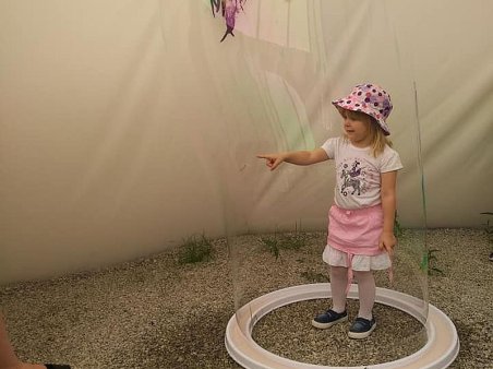 Biedroneczki na wycieczce 