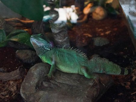 W Łążku i Janowie