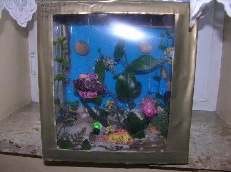 Akwarium w formie przestrzennej