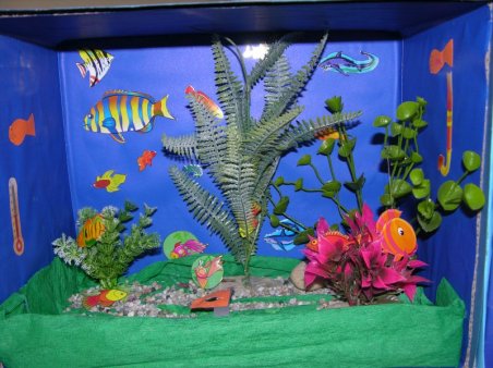 Akwarium w formie przestrzennej