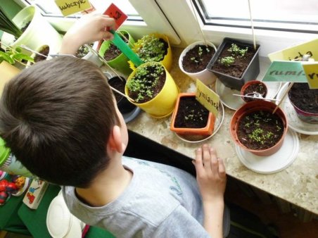 Zdrowo jem, wiecej wiem