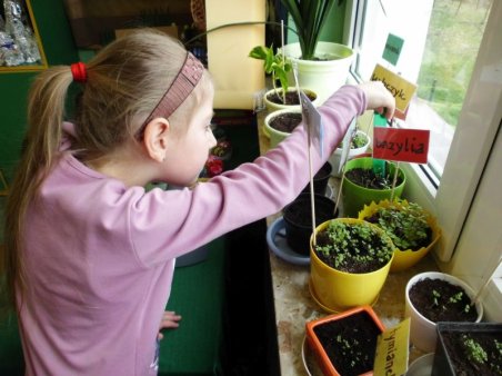 Zdrowo jem, wiecej wiem