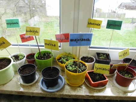 Zdrowo jem, wiecej wiem