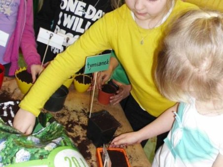 Zdrowo jem, wiecej wiem