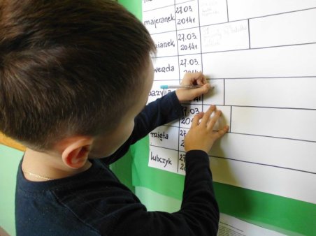 Zdrowo jem, wiecej wiem