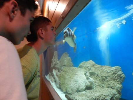 Zielona Szkoła - Kołobrzeg 2014