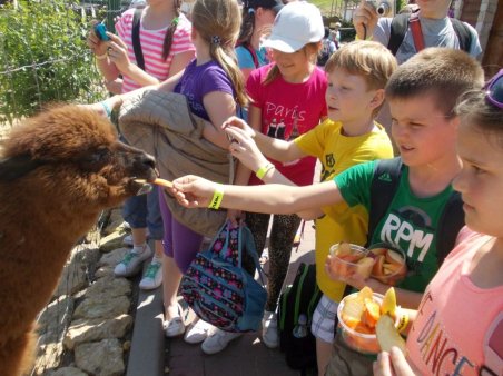 Spotkanie dinozaurami w Bałtowie