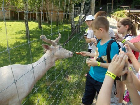 Spotkanie dinozaurami w Bałtowie