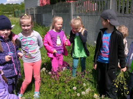 Kubusiowi Przyjaciele