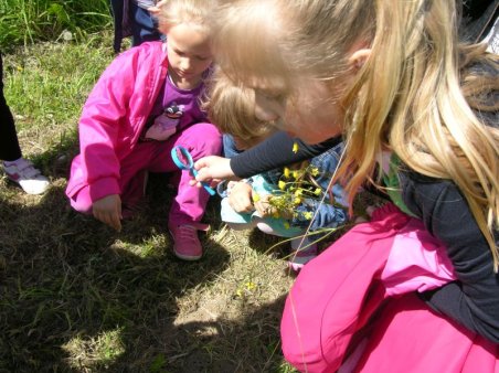 Kubusiowi Przyjaciele