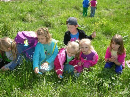 Kubusiowi Przyjaciele