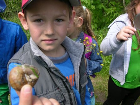 Kubusiowi Przyjaciele