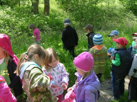 Kubusiowi Przyjaciele