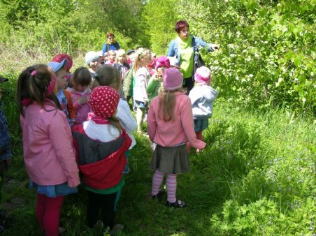 Kubusiowi Przyjaciele