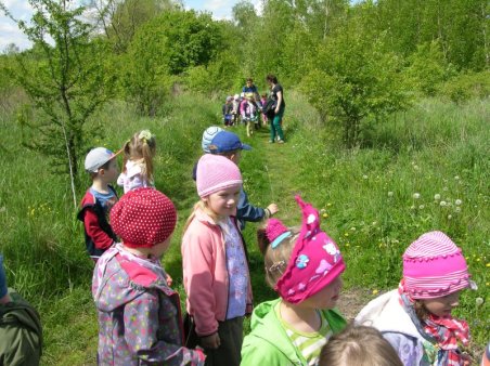 Kubusiowi Przyjaciele