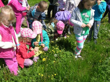 Kubusiowi Przyjaciele