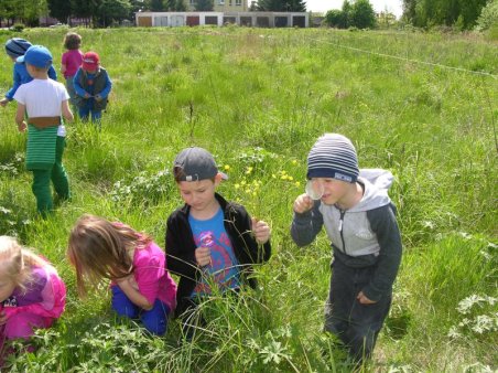 Kubusiowi Przyjaciele