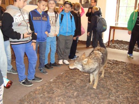 Wycieczka do Krasiczyna i Przemyśla