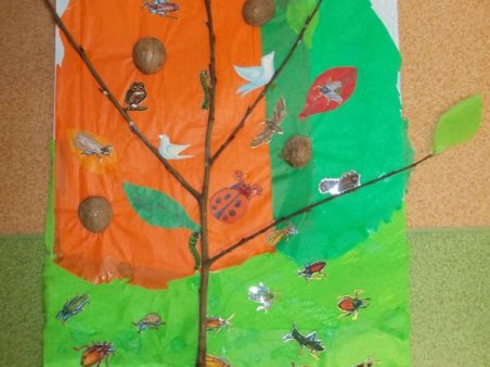 Drzewo i jego mieszkańcy