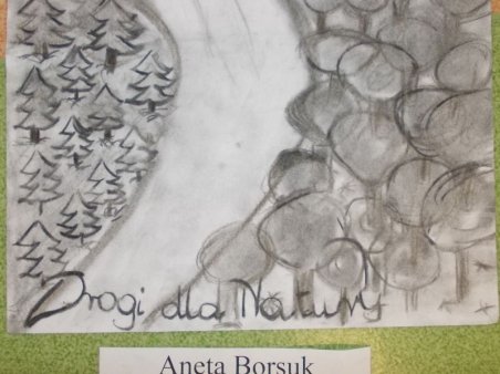 Drzewo i jego mieszkańcy