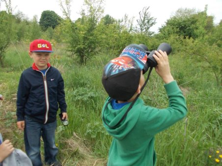 W kolorach łąka majowa