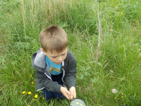 W kolorach łąka majowa