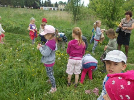 W kolorach łąka majowa