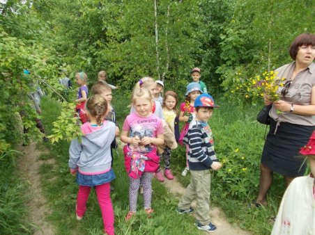 W kolorach łąka majowa