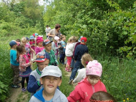 W kolorach łąka majowa
