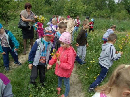 W kolorach łąka majowa