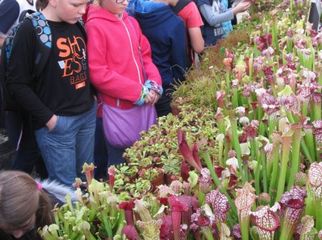 Wycieczka do Lublina klas V