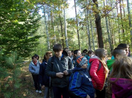 Święto Drzewa - 2015