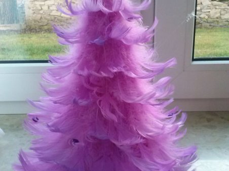 Świąteczne kompozycje