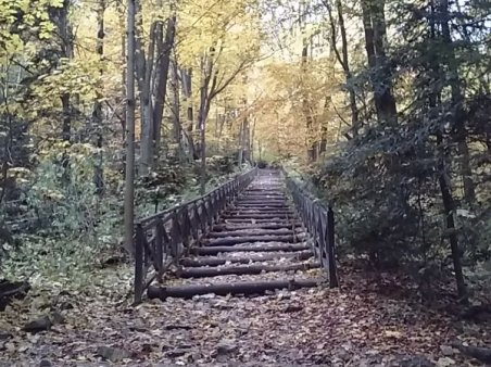 Góry Świętokrzyskie