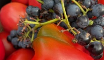 Aktywnie w klasie II a