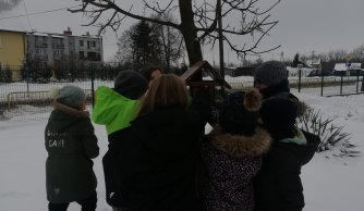 Dokarmianie ptaków zimą - Szkolne Koło Ekologiczne