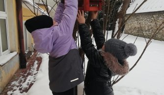 Dokarmianie ptaków zimą - Szkolne Koło Ekologiczne