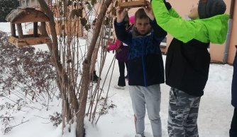 Dokarmianie ptaków zimą - Szkolne Koło Ekologiczne